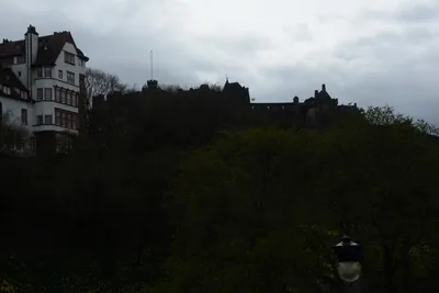 DSC_7322 (Large).JPG